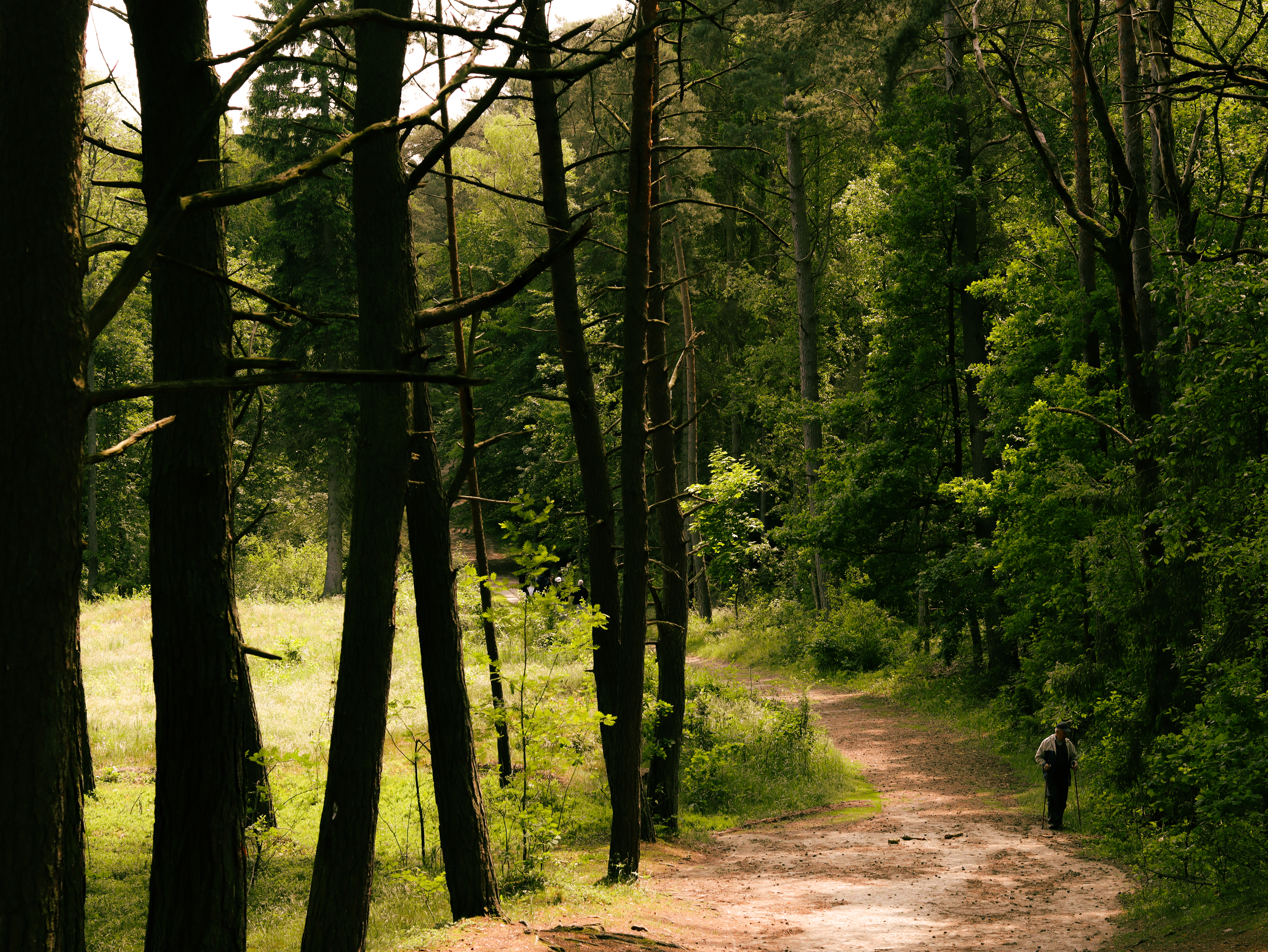 Nature Photography 3