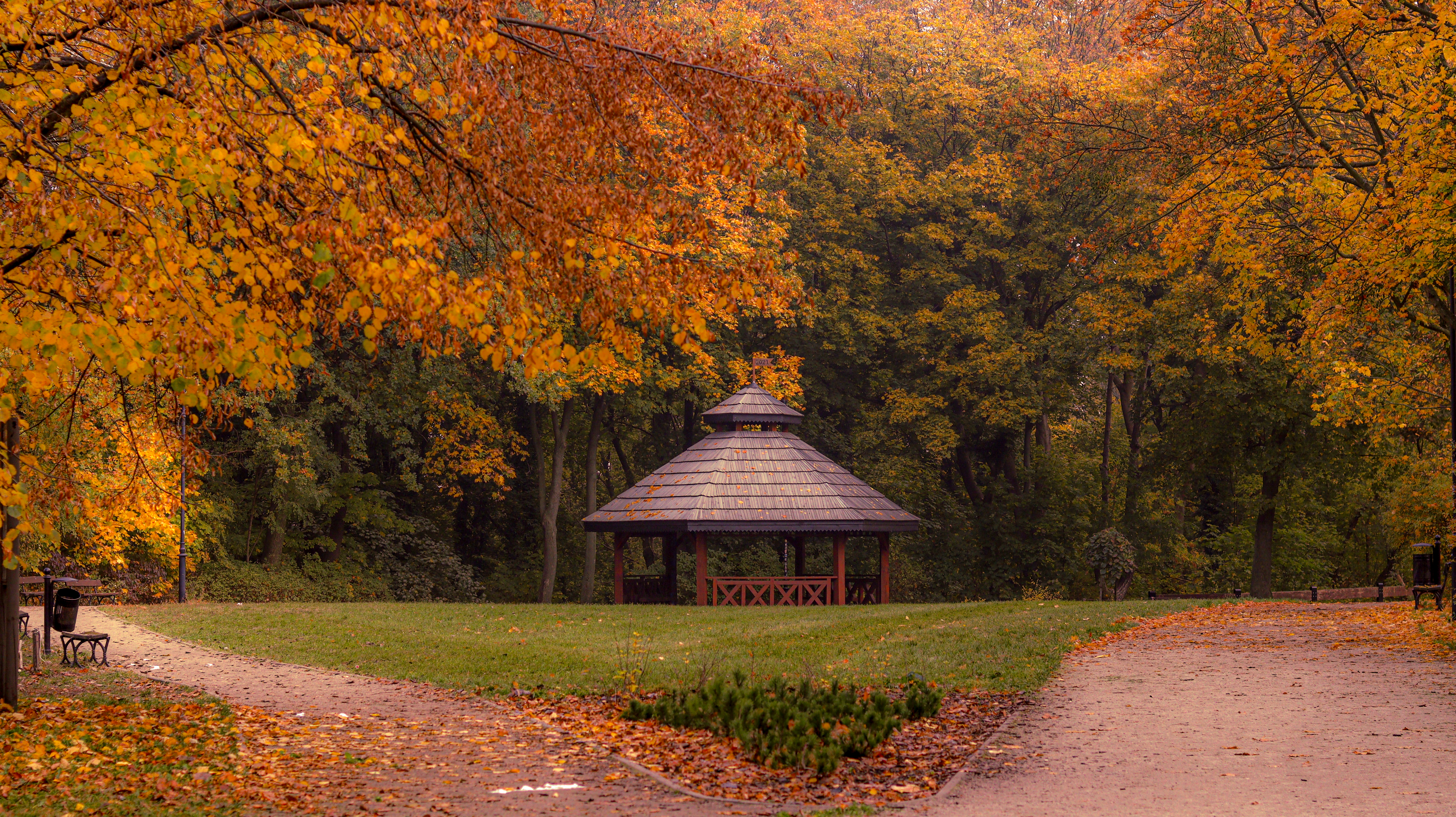 Nature Photography 1